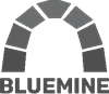 Bluemine - Open Source Mobile PMS